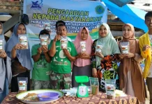 Petani Aren di Lamara Konsel Produksi Gula Semar untuk Pasar Sultra Petani Aren di Lamara Konsel Produksi Gula Semar untuk Pasar Sultra