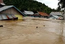 Kepala BNPB RI Dijadwalkan Tinjau Lokasi Banjir di Konut Banjir Bandang, 11 Rumah di Konut Hanyut Terbawa Arus Sungai