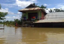 Sepekan Diterjang Banjir, Dua Kecamatan di Konawe Masih Terisolir Takut Kecurian, Warga Tiga Desa di Konawe Menolak Dievakuasi