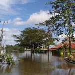 VIDEO : Kondisi Terkini Banjir Konawe, Air Masih Merendam Rumah Warga Banjir Konawe Makin Parah, Areal Persawahan Berubah Jadi Danau