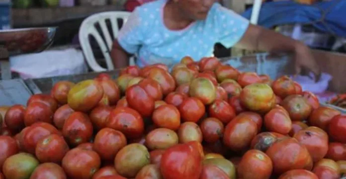 Dinas Pangan Kendari Temukan Tomat Mengandung Zat Berbahaya