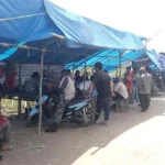 Polemik Rawa Tinondo di Koltim Kian Memanas Polemik Rawa Tinondo di Koltim Kian Memanas