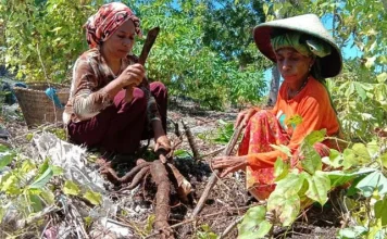 Menabung di Karung Jagung, Kisah Nenek di Busel Naik Haji dari Hasil Tani Menabung di Karung Jagung, Kisah Nenek di Busel Naik Haji dari Hasil Tani