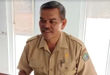 Dinas Perikanan Kolut Kembangkan Program Mina Padi Kepala Seksi Pembenihan dan Produksi Ikan DKP Kolut, Bongi