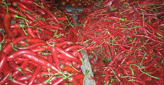 cabai Harga Cabai di Kendari Rp50 Ribu per Kg, Pedagang: Masih Mahal