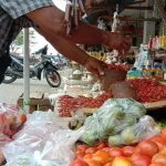 Harga Cabai di Baubau Tembus Rp70 Ribu per Kilogram Harga Cabai di Baubau Tembus Rp70 Ribu per Kilogram