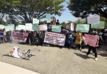 Ratusan Pedagang di Kolut Tolak Penarikan Pajak 10 Persen Ratusan Pedagang di Kolut Tolak Penarikan Pajak 10 Persen