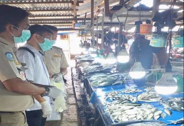 Hasil Laboratorium BKIPM, Ikan di Kendari Masih Aman Konsumsi