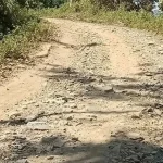 Agustus, Jalan di Kabaena Mulai Dikerja Agustus, Jalan di Kabaena Mulai Dikerja