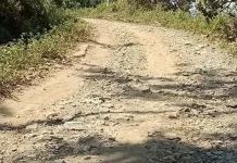 Agustus, Jalan di Kabaena Mulai Dikerja Agustus, Jalan di Kabaena Mulai Dikerja