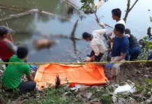 Kakek Asal Konsel Ini Ditemukan Tewas di Bendungan Kakek Asal Konsel Ini Ditemukan Tewas di Bendungan