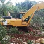 PT. GKP Diduga Rusak Tanaman Warga di Roko-roko Raya Konkep PT. GKP Diduga Rusak Tanaman Warga di Roko-roko Raya Konkep