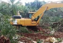 PT. GKP Diduga Rusak Tanaman Warga di Roko-roko Raya Konkep PT. GKP Diduga Rusak Tanaman Warga di Roko-roko Raya Konkep