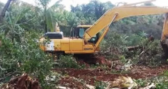 PT. GKP Diduga Rusak Tanaman Warga di Roko-roko Raya Konkep