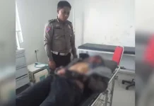 Diduga Hilang Kendali, Pengendara Motor di Mubar Tewas Tertabrak Truk Diduga Hilang Kendali, Pengendara Motor di Mubar Tewas Tertabrak Truk