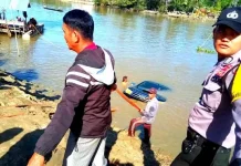 Mobil Hilux Tercebur di Sungai Konaweha Mobil Hilux Tercebur di Sungai Konaweha