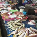 Gelombang Laut Tinggi, Harga Ikan di Kendari Naik Gelombang Laut Tinggi, Harga Ikan di Kendari Naik