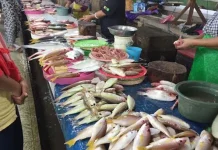 Gelombang Laut Tinggi, Harga Ikan di Kendari Naik Gelombang Laut Tinggi, Harga Ikan di Kendari Naik