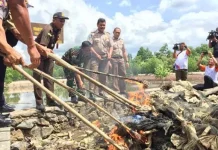 Alat Tangkap Benih Lobster Milik Nelayan di Moramo Konsel Dimusnahkan Stasiun KIPM Kendari: Benih Lobster Tak Boleh Ditangkap