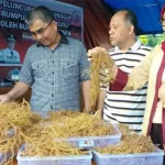 Bupati Butur Luncurkan Bibit Unggul Rumput Laut Jenis Terbaru Bupati Butur Luncurkan Bibit Unggul Rumput Laut Jenis Terbaru