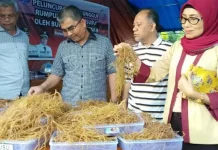 Bupati Butur Luncurkan Bibit Unggul Rumput Laut Jenis Terbaru Bupati Butur Luncurkan Bibit Unggul Rumput Laut Jenis Terbaru