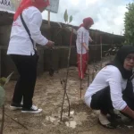5000 Mangrove Untuk Mitigasi Perubahan Iklim di Sultra 5000 Mangrove Untuk Mitigasi Perubahan Iklim di Sultra