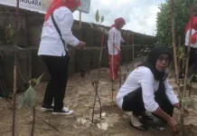5000 Mangrove Untuk Mitigasi Perubahan Iklim di Sultra 5000 Mangrove Untuk Mitigasi Perubahan Iklim di Sultra