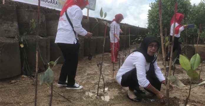 5000 Mangrove Untuk Mitigasi Perubahan Iklim di Sultra