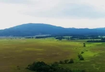 Balai Taman Nasional Rawa Aopa Watumohai Kembangkan Wisata Edukasi Taman Nasional Rawa Aopa