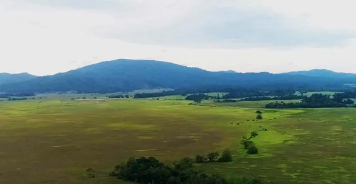 Taman Nasional Rawa Aopa