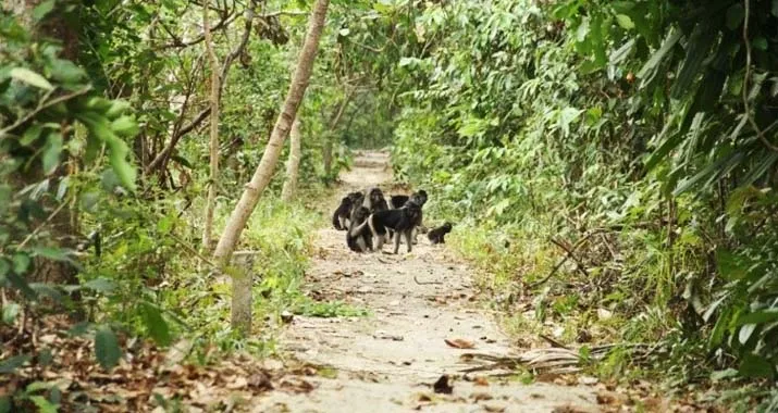 Balai Taman Nasional Rawa Aopa Kembangkan Wisata Edukasi