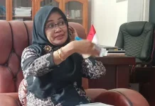 BKPSDM Kolaka Bakal Lelang Jabatan Empat Instansi Ini Kepala Inspektorat Kabupaten Kolaka, Andi Tenri Gau