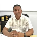 Ini Kendala DLHK Lakukan Pemangkasan Ribuan Pohon Tua di Kendari Kepala DLHK Kota Kendari Paminuddin Mane