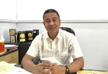 Ini Kendala DLHK Lakukan Pemangkasan Ribuan Pohon Tua di Kendari Kepala DLHK Kota Kendari Paminuddin Mane