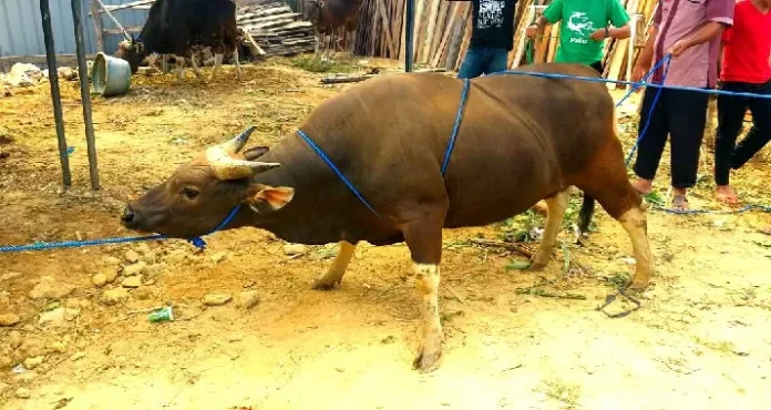 PhotoPictureResizer_190812_213749464_crop_715x380