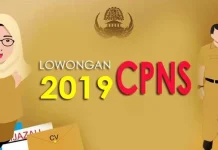 2.549 Pelamar CPNS Baubau Lulus Seleksi Administrasi ilustrasi cpns sultra, ilustrasi cpns 2019