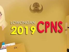 Mubar Dapat Kuota 211 Pada Seleksi CPNS 2019, Lulusan SMA Diterima ilustrasi cpns sultra, ilustrasi cpns 2019
