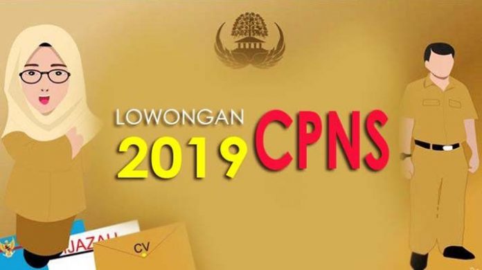 ilustrasi cpns sultra, ilustrasi cpns 2019