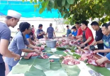 Kurban 7 Ekor Sapi, BI Sultra Bagikan 550 Kupon Daging Kurban 7 Ekor Sapi, BI Sultra Bagikan 550 Kupon Daging