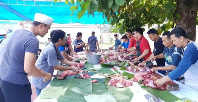 Kurban 7 Ekor Sapi, BI Sultra Bagikan 550 Kupon Daging