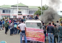Tanggapi Tuntutan Pendemo Soal Cengkeh, Safei Usulkan Solusi Surati Pemerintah Pusat Tanggapi Tuntutan Pendemo Soal Cengkeh, Safei Usulkan Solusi Surati Pemerintah Pusat