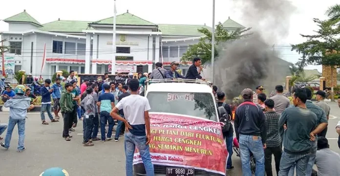 Tanggapi Tuntutan Pendemo Soal Cengkeh, Safei Usulkan Solusi Surati Pemerintah Pusat
