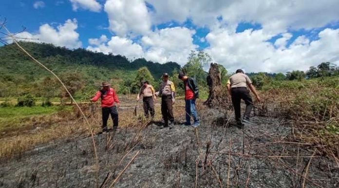 Dua Desa di Kolut Rawan Kebakaran Hutan dan Lahan