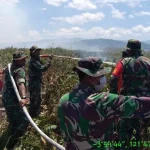 Lahan Gambut di Koltim Kembali Terbakar, Pemadaman Terus Berlanjut Lahan Gambut di Koltim Kembali Terbakar, Pemadaman Terus Berlanjut