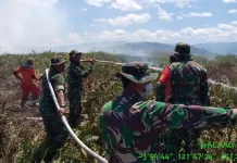 Lahan Gambut di Koltim Kembali Terbakar, Pemadaman Terus Berlanjut Lahan Gambut di Koltim Kembali Terbakar, Pemadaman Terus Berlanjut