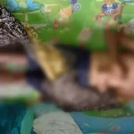 Petani di Kolut Tewas Tersengat Listrik dari Perangkap Babi Petani di Kolut Tewas Tersengat Listrik dari Perangkap Babi