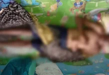 Petani di Kolut Tewas Tersengat Listrik dari Perangkap Babi Petani di Kolut Tewas Tersengat Listrik dari Perangkap Babi