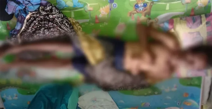 korban_terkotak_listrik Petani di Kolut Tewas Tersengat Listrik dari Perangkap Babi