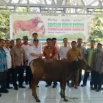 ANTAM Serahkan 12 Ekor Sapi Kurban ke Warga Pomalaa dan Konut ANTAM Serahkan 12 Ekor Sapi Kurban ke Warga Pomalaa dan Konut