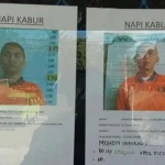 Dua Napi di Lapas Baubau Kabur Dua Napi di Lapas Baubau Kabur